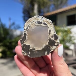 Thunderegg 3