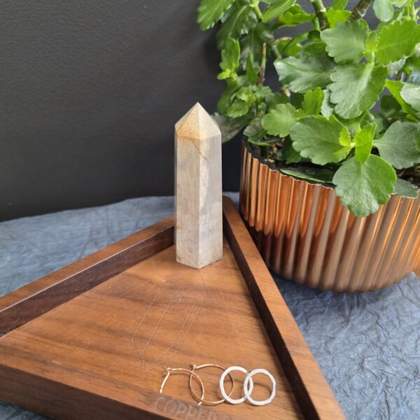 Fossil Coral Tower - Image 2