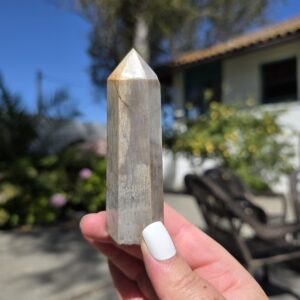 Fossil Coral Tower
