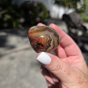 Polished Sardonyx