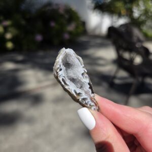 Geode 4