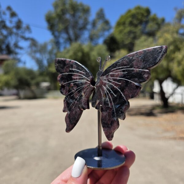Garnet Butterfly - Image 2