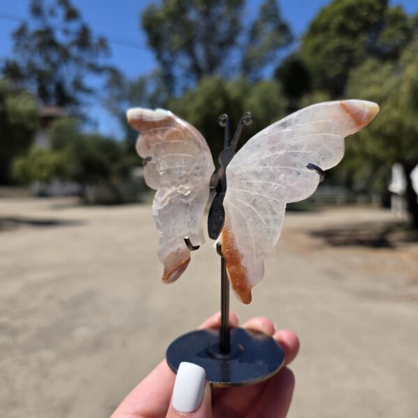Carnelian Butterfly - Image 2