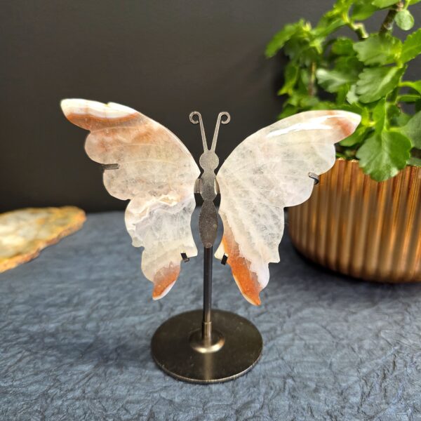 Carnelian Butterfly