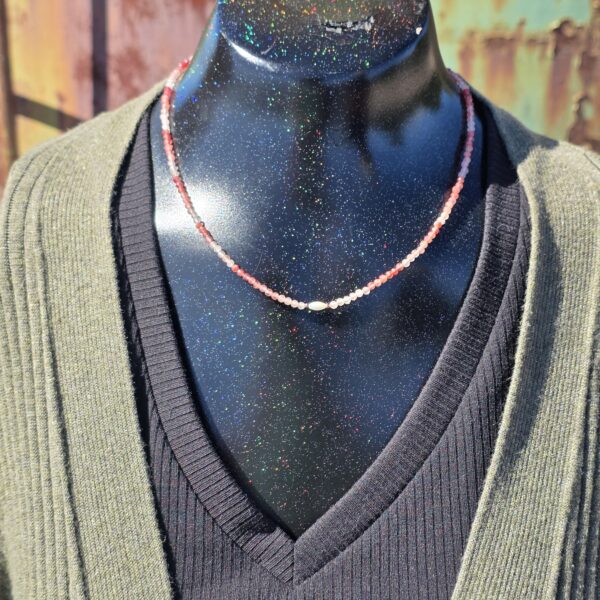 Interchangeable & Reversible Charm Necklace! - Image 3